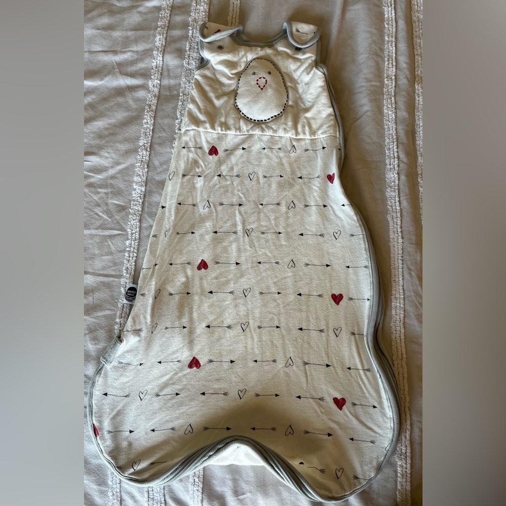 Nested Bean Zen Sack with Heart and Arrow Design